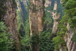 China_june (22/56)